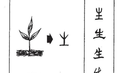 红花蛇图片大全-红花蛇功效网 - 为你提供红花蛇的药用功效、红花蛇图片红花蛇有什么功效与作用