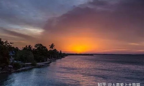 红花蛇功效网 - 为你提供红花蛇的药用功效、红花蛇图片红花蛇有什么功效与作用